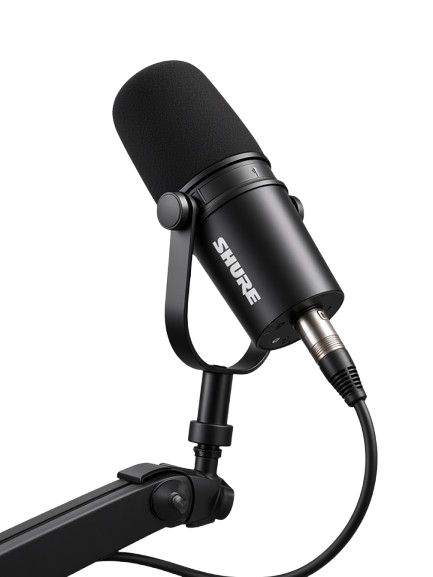 Professional broadcast microphone